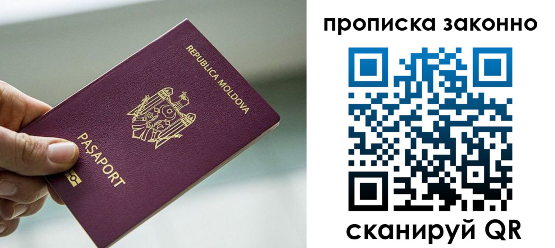 временная регистрация недорого в Кольчугино