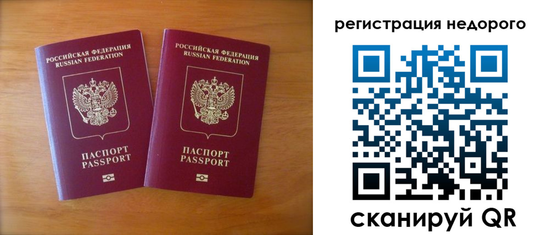 прописка 2025 в Кольчугино
