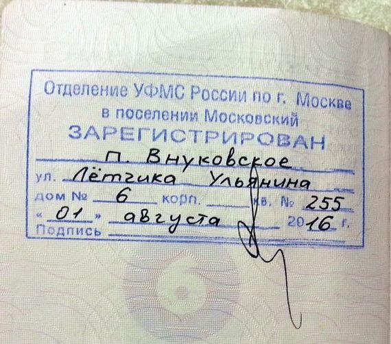 прописка в Кольчугино